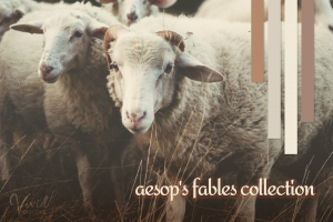 sheep with fall yarn color sample