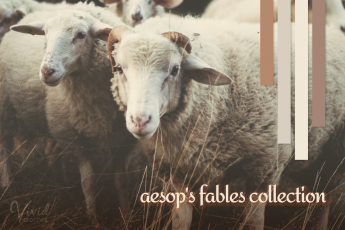 sheep with fall yarn color sample