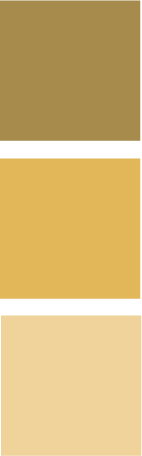 CT Color block saffron